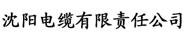 91香蕉直视频直播电缆厂logo